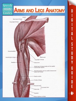 cover image of Arms and Legs Anatomy